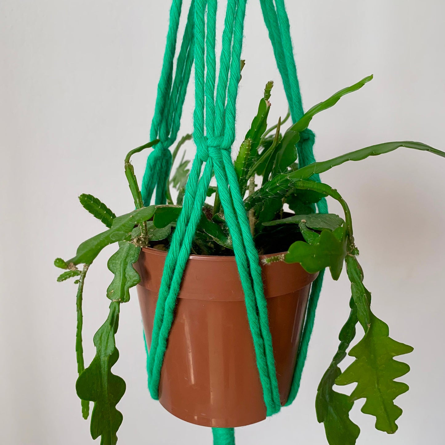 Mint Green Pot Hangers