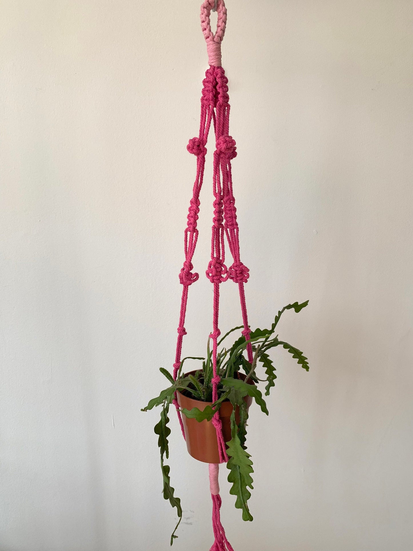 Pink Pot Hanger