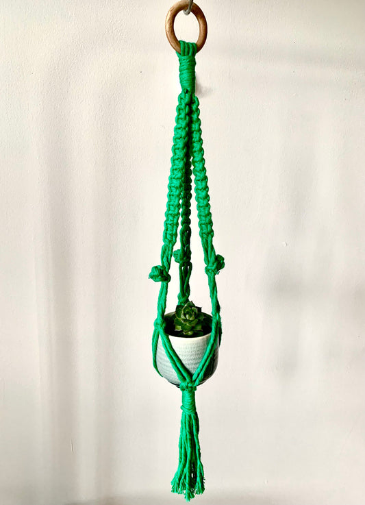 Green macrame plant hanger with a pot on a plain background