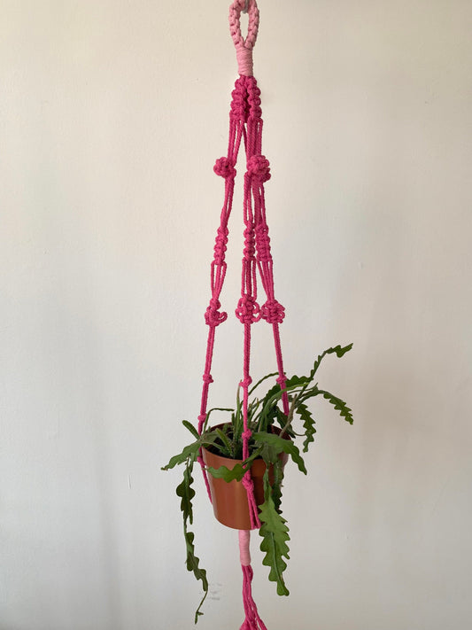 Pink Pot Hanger