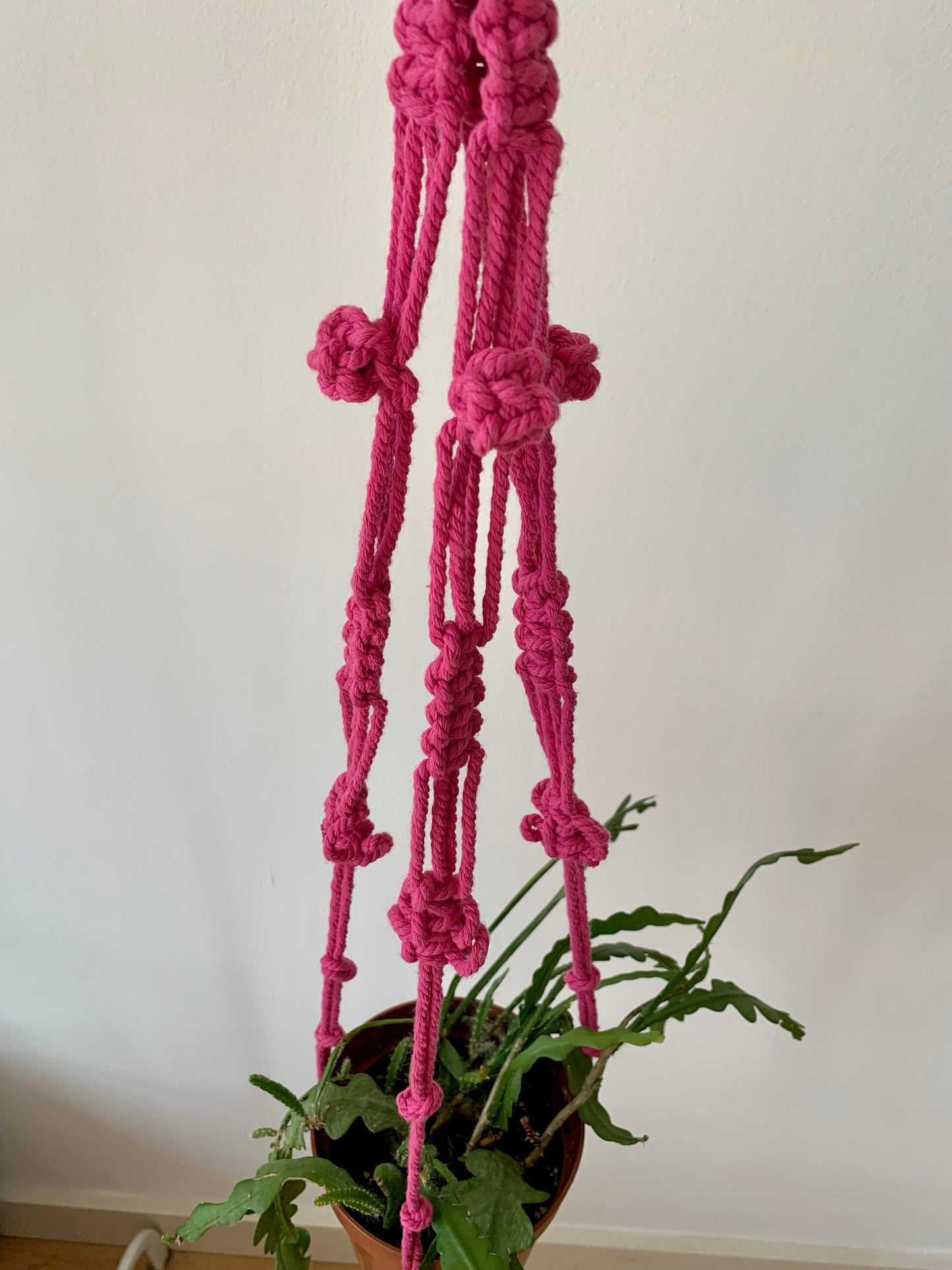 Pink Pot Hanger